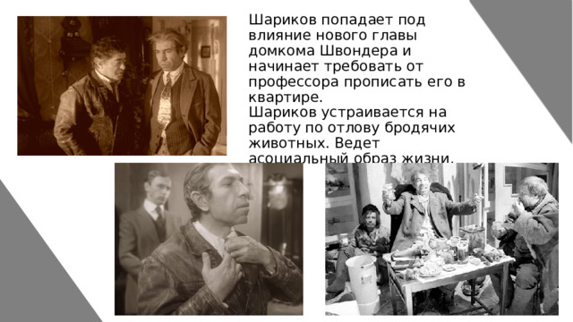 Шариков попадает под влияние нового главы домкома Швондера и начинает требовать от профессора прописать его в квартире.  Шариков устраивается на работу по отлову бродячих животных. Ведет асоциальный образ жизни. 