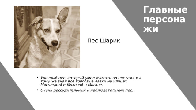 Главные персонажи Пес Шарик Уличный пес, который умел «читать по цветам» и к тому же знал все торговые лавки на улицах Мясницкой и Моховой в Москве. Очень рассудительный и наблюдательный пес. 