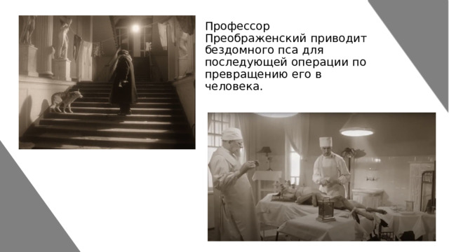 Профессор Преображенский приводит бездомного пса для последующей операции по превращению его в человека. 