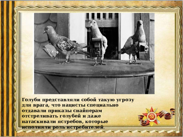 Голуби представляли собой такую угрозу для врага, что нацисты специально отдавали приказы снайперам отстреливать голубей и даже натаскивали ястребов, которые исполняли роль истребителей . 