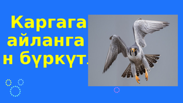  Каргага айланган бүркүт . 