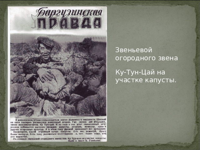 На огороде в Шанхае 