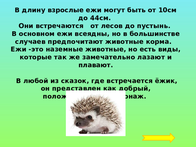 В длину взрослые ежи могут быть от 10см до 44см. Они встречаются от лесов до пустынь. В основном ежи всеядны, но в большинстве случаев предпочитают животные корма. Ежи -это наземные животные, но есть виды, которые так же замечательно лазают и плавают.   В любой из сказок, где встречается ёжик, он представлен как добрый, положительный персонаж. 