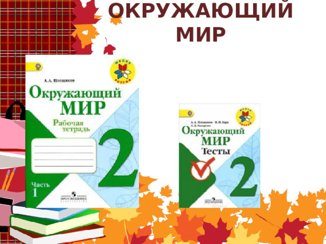 ОКРУЖАЮЩИЙ МИР 