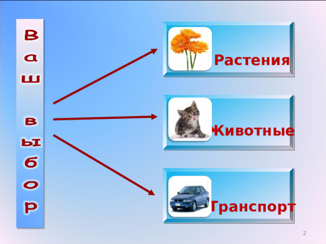  Растения  Животные  Транспорт  