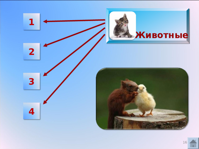  1 Животные 2 3 4 3 