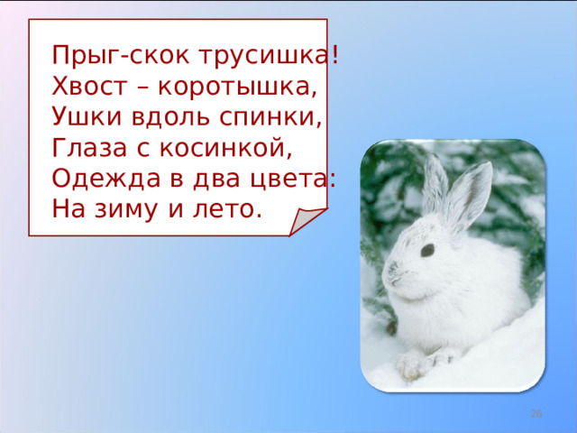  Прыг-скок трусишка!  Хвост – коротышка,  Ушки вдоль спинки,  Глаза с косинкой,  Одежда в два цвета:  На зиму и лето. 16 