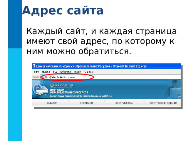 Адрес сайта 