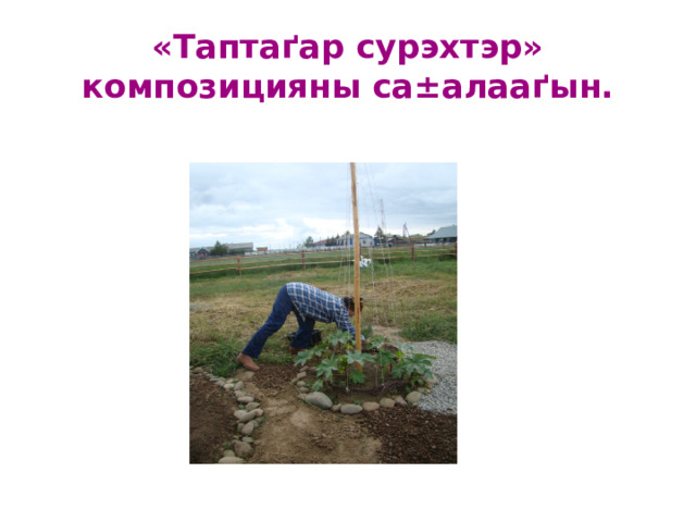 «Таптаґар сурэхтэр» композицияны са±алааґын. 