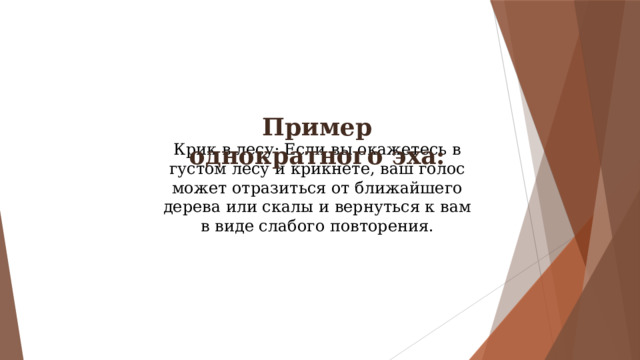 Пример однократного эха: Крик в лесу: Если вы окажетесь в густом лесу и крикнете, ваш голос может отразиться от ближайшего дерева или скалы и вернуться к вам в виде слабого повторения. 