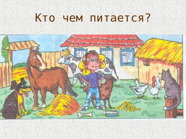 Кто чем питается? 