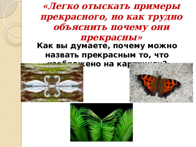 «Легко отыскать примеры прекрасного, но как трудно объяснить почему они прекрасны»   Как вы думаете, почему можно назвать прекрасным то, что изображено на картинках?  
