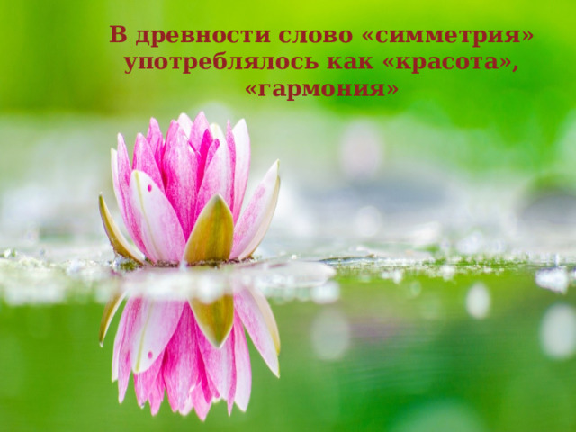  В древности слово «симметрия» употреблялось как «красота», «гармония»   