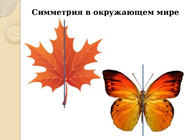 Симметрия в окружающем мире 