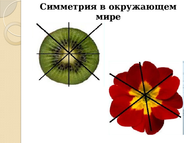Симметрия в окружающем мире 