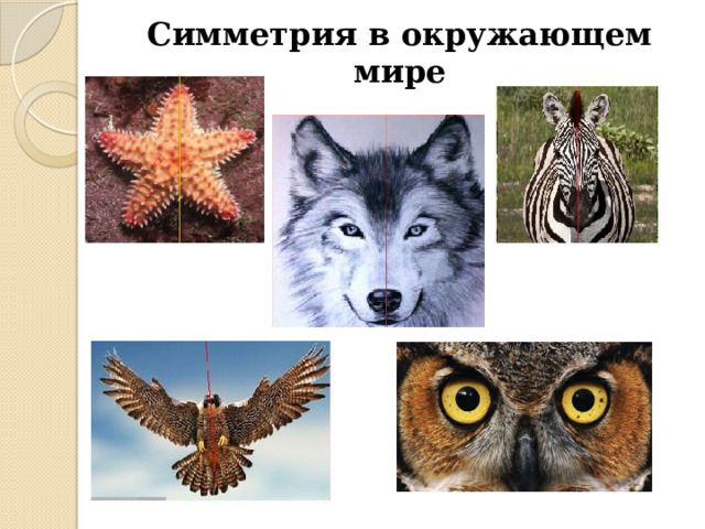 Симметрия в окружающем мире 