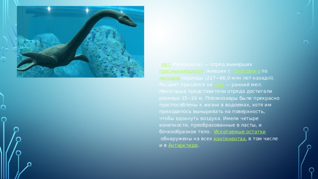 Плезиозавр ( лат.  Plesiosauria) — отряд вымерших  пресмыкающихся , живших с  триасового  по  меловой  периоды (227−66,0 млн лет назад [2] ). Расцвет пришёлся на  юру  — ранний мел. Некоторые представители отряда достигали размера 15−20 м. Плезиозавры были прекрасно приспособлены к жизни в водоемах, хотя им приходилось выныривать на поверхность, чтобы вдохнуть воздуха. Имели четыре конечности, преобразованные в ласты, и бочкообразное тело.   Ископаемые остатки  обнаружены на всех  континентах , в том числе и в  Антарктиде .  