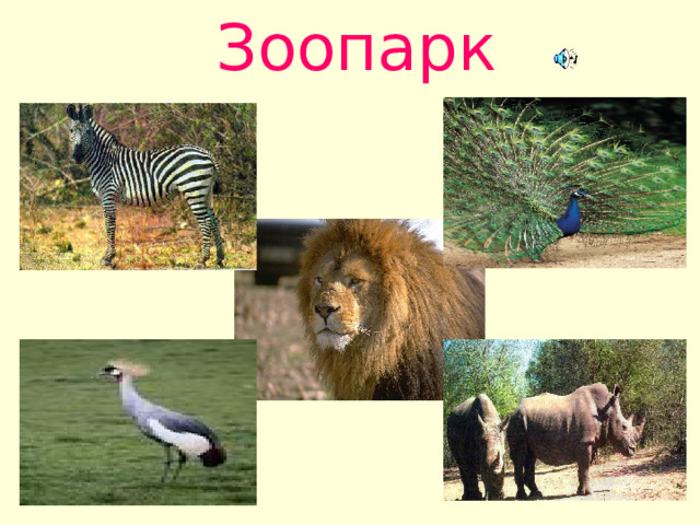 Зоопарк 