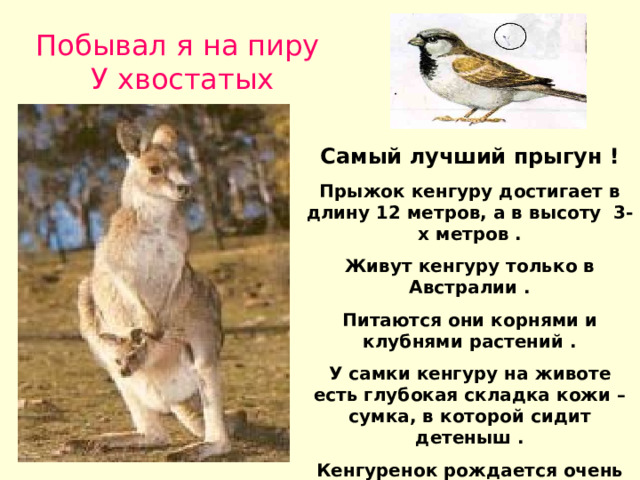 Побывал я на пиру У хвостатых кенгуру. . Самый лучший прыгун ! Прыжок кенгуру достигает в длину 12 метров, а в высоту 3-х метров . Живут кенгуру только в Австралии . Питаются они корнями и клубнями растений . У самки кенгуру на животе есть глубокая складка кожи – сумка, в которой сидит детеныш . Кенгуренок рождается очень маленьким - всего 3 см . Прячется он в сумке мамы до восьми месяцев . 