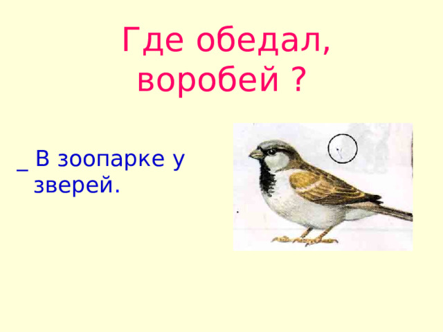  Где обедал, воробей ? _ В зоопарке у зверей . 
