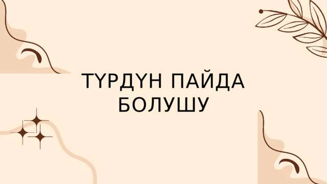 ТҮРДҮН ПАЙДА БОЛУШУ 