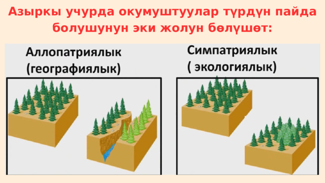 Азыркы учурда окумуштуулар түрдүн пайда болушунун эки жолун бөлүшөт: 