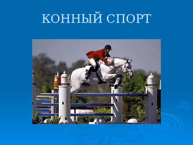 КОННЫЙ СПОРТ 