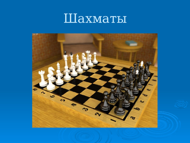 Шахматы 