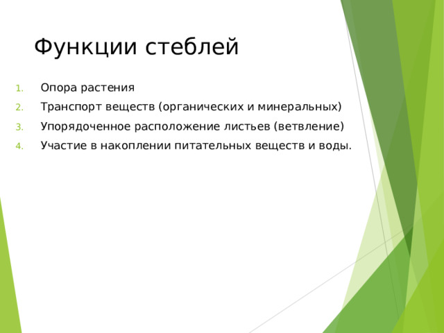 Функции стеблей Опора растения Транспорт веществ (органических и минеральных) Упорядоченное расположение листьев (ветвление) Участие в накоплении питательных веществ и воды. 