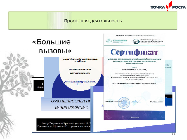  Проектная деятельность   «Большие вызовы»  