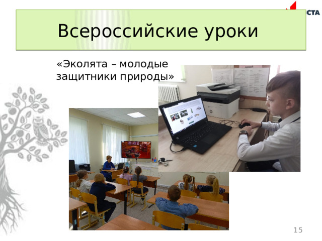Всероссийские уроки «Эколята – молодые защитники природы»  