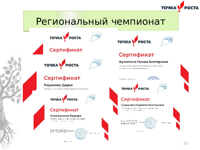Региональный чемпионат  