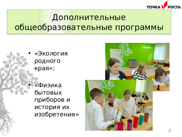 Дополнительные общеобразовательные программы «Экология родного края»; «Физика бытовых приборов и история их изобретения»  