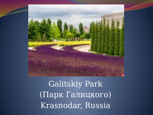 Galitskiy Park (Парк Галицкого) Krasnodar, Russia 