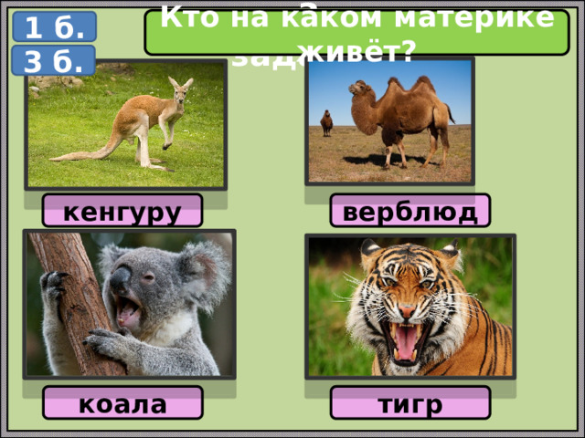 Кто на каком материке живёт? 1 б. 3 задание 3 б. кенгуру верблюд коала тигр 