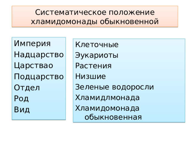 Систематическое положение  хламидомонады обыкновенной Империя Надцарство Царствао Подцарство Отдел Род Вид Клеточные Эукариоты Растения Низшие Зеленые водоросли Хламидлмонада Хламидомонада обыкновенная 
