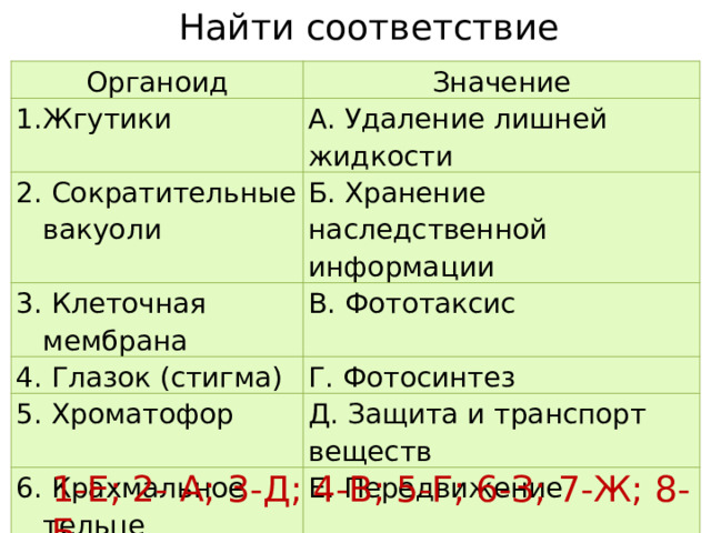 Найти соответствие Органоид Жгутики Значение А. Удаление лишней жидкости 2. Сократительные вакуоли Б. Хранение наследственной информации 3. Клеточная мембрана В. Фототаксис 4. Глазок (стигма) 5. Хроматофор Г. Фотосинтез Д. Защита и транспорт веществ 6. Крахмальное тельце (пиреноид) Е. Передвижение 7. Цитоплазма Ж. Соединение органоидов 8. Ядро З. Запас питательных веществ 1-Е; 2- А; 3-Д; 4-В; 5-Г; 6-З; 7-Ж; 8-Б 