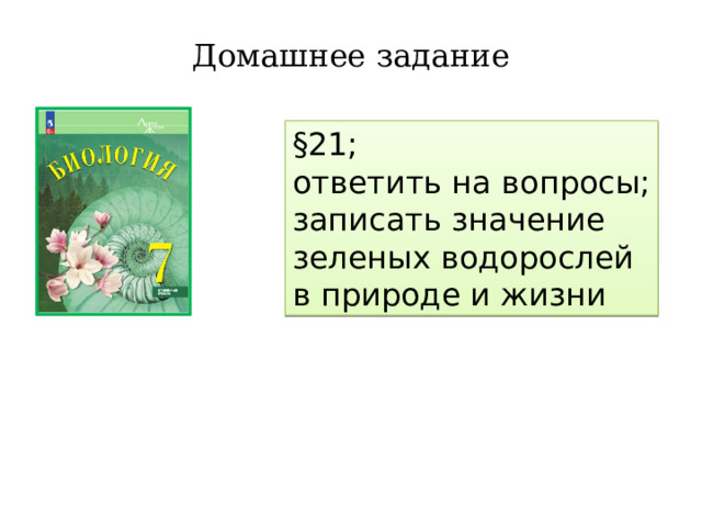 Домашнее задание §21; ответить на вопросы; записать значение зеленых водорослей в природе и жизни 