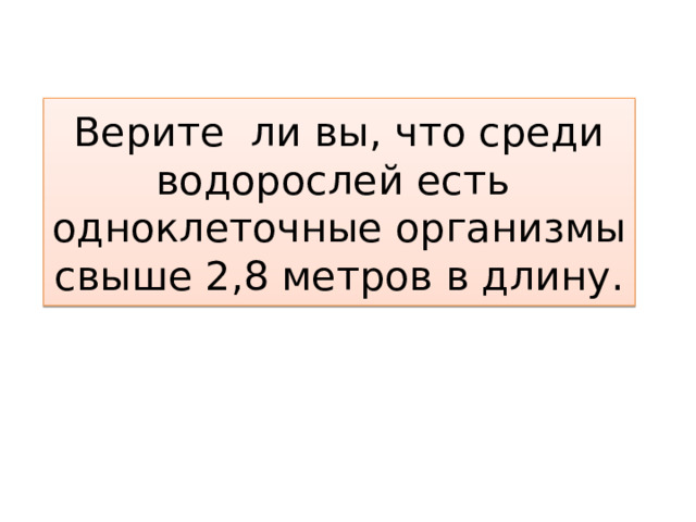 Верите ли вы, что среди водорослей есть одноклеточные организмы свыше 2,8 метров в длину. 