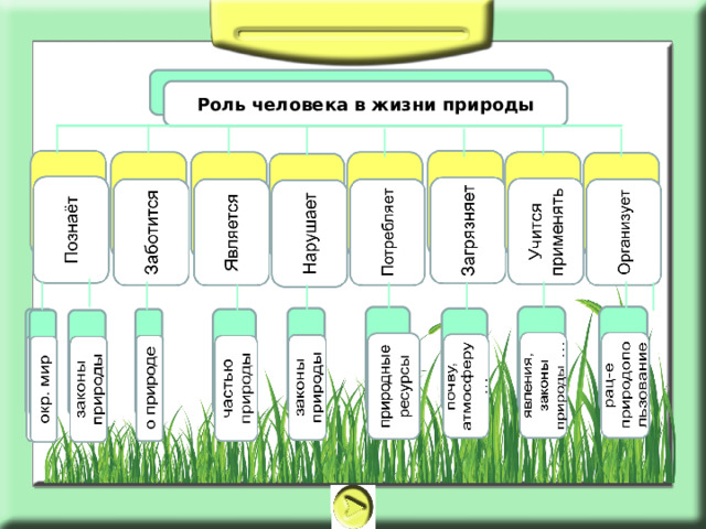 Роль человека в жизни природы 