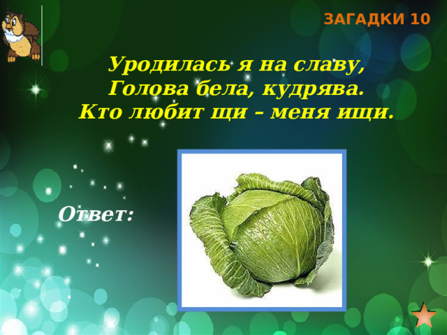 ЗАГАДКИ 10 Уродилась я на славу, Голова бела, кудрява. Кто любит щи – меня ищи. Ответ: 