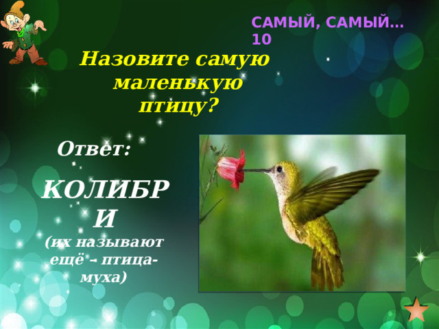 САМЫЙ, САМЫЙ… 10 Назовите самую маленькую птицу? Ответ: КОЛИБРИ (их называют ещё – птица-муха) 