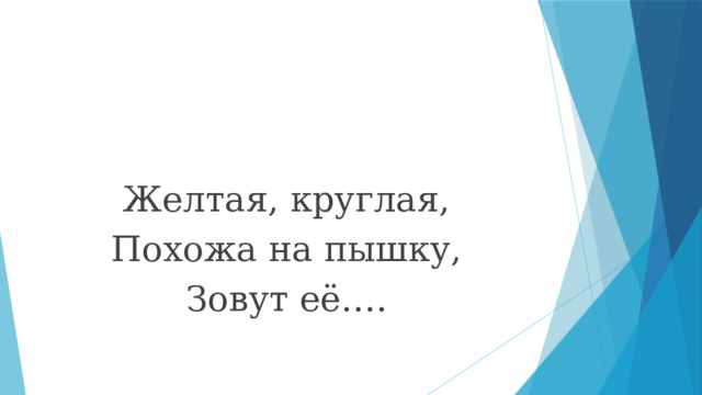 Желтая, круглая, Похожа на пышку, Зовут её…. 