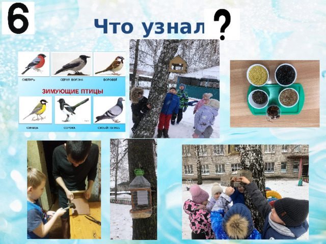 Что узнали?  