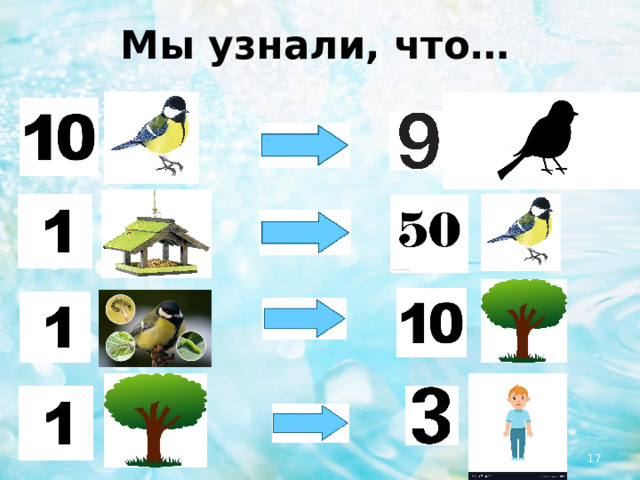 Мы узнали, что…  
