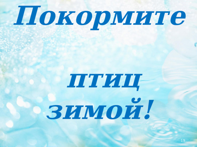Покормите  птиц зимой!  