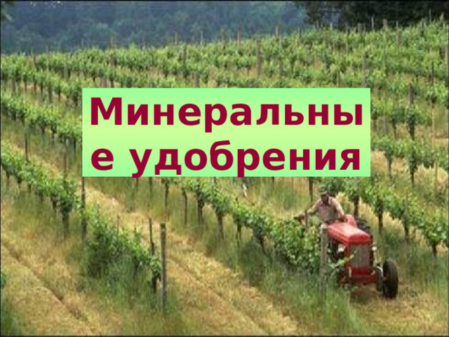 Минеральные удобрения 
