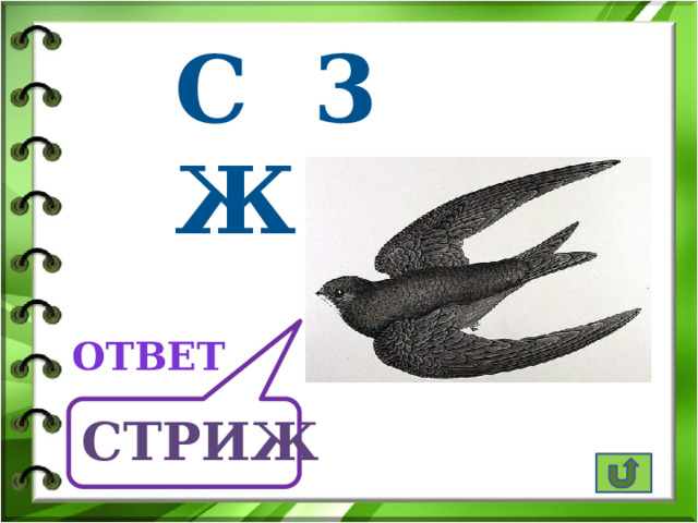 с 3 ж ответ стриж 