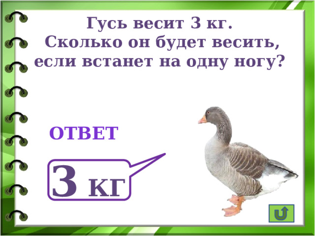 Гусь весит 3 кг. Сколько он будет весить, если встанет на одну ногу?  ответ 3 кг 