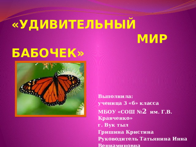«УДИВИТЕЛЬНЫЙ  МИР БАБОЧЕК»      Выполнила: ученица 3 «б» класса МБОУ «СОШ № 2 им. Г.В. Кравченко» г. Вук тыл Гришина Кристина Руководитель Татьянина Инна Вениаминовна   